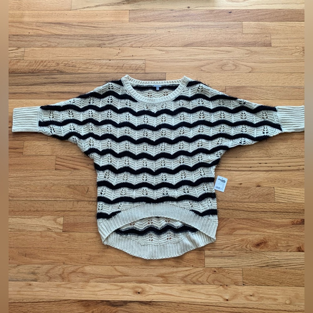 NWT Charlotte Russe Sweater